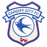 Cardiff City match stats