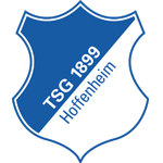 Hoffenheim match stats